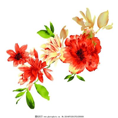 位圖 植物 寫意花卉 花朵 野花 免費素材