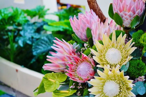 花博游玩攻略 帶你看花博 逛園子 環湖游 逛吃買