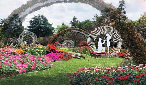 2021年花溪公園精品月季花卉展即將盛大啟幕 3大展區 122種精品月季喜迎廣大市民游客