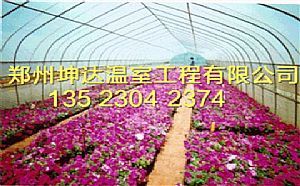 開封雙梁溫室大棚建造公司鄭州坤達花卉溫室大棚建造廠家圖片|開封雙梁溫室大棚建造公司鄭州坤達花卉溫室大棚建造廠家產品圖片由鄭州市坤達溫室工程公司生產提供-