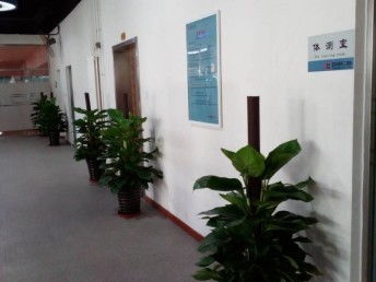 圖 天津市內(nèi)六區(qū)綠植租賃花卉租賃辦公室綠植租擺公司 天津鮮花綠植
