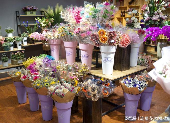 云南國色忝香花卉 流星花園鮮花市場站穩腳跟