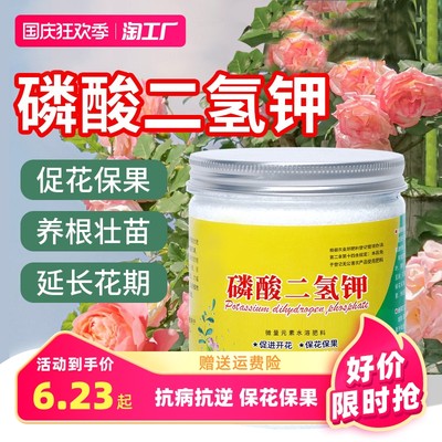 當前網購流行產品