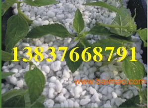 供應園藝專用珍珠巖,供應園藝專用珍珠巖生產廠家,供應園藝專用珍珠巖價格