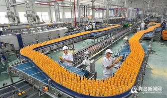 厲害 世界單體面積最大蔬菜花卉工廠西海岸開建