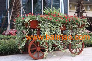 戶外花箱花車 實木花箱花車 塑木花箱花車 山樟木花,戶外花箱花車 實木花箱花車 塑木花箱花車 山樟木花生產廠家,戶外花箱花車 實木花箱花車 塑木花箱花車 山樟木花價格