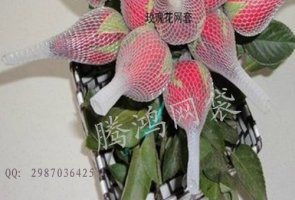 批發玫瑰花網套護套網絲網育花 玫瑰花網廠家 1公斤起發圖片,批發玫瑰花網套護套網絲網育花 玫瑰花網廠家 1公斤起發高清圖片 騰鴻網袋塑料制品廠,