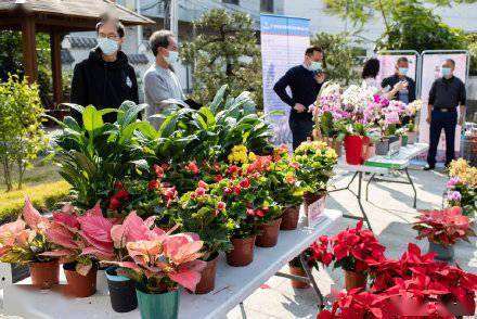 廣州白云 云上花市 開市 200多款精品年宵花 云 上購