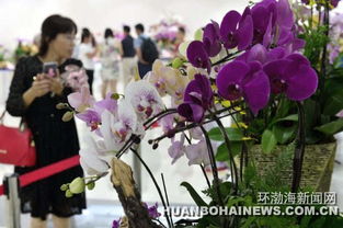走,到世園會看國際精品蘭花展去 圖