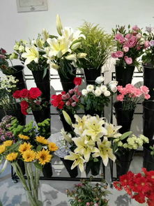 渝北區鮮花配送 愛 花兒精品花屋