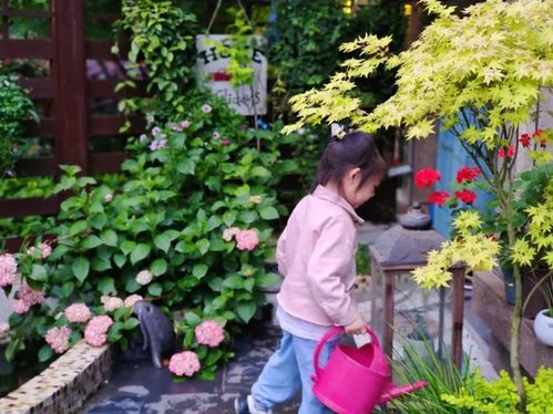 2年前,買了個底樓帶50㎡小院的房子,在繁華都市過上了花園生活